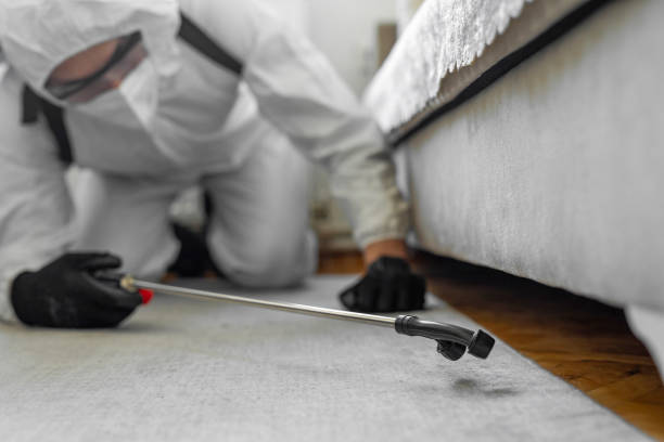 Professional Termite Control technician working in Riverview, MO