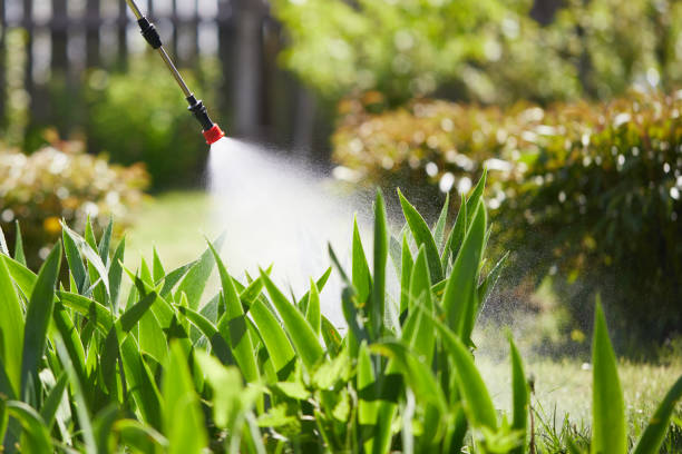 24/7 Emergency Termite Control experts in Riverview, MO